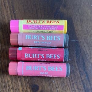 Burt's Bees - Lip Balm Set of 4 - new!